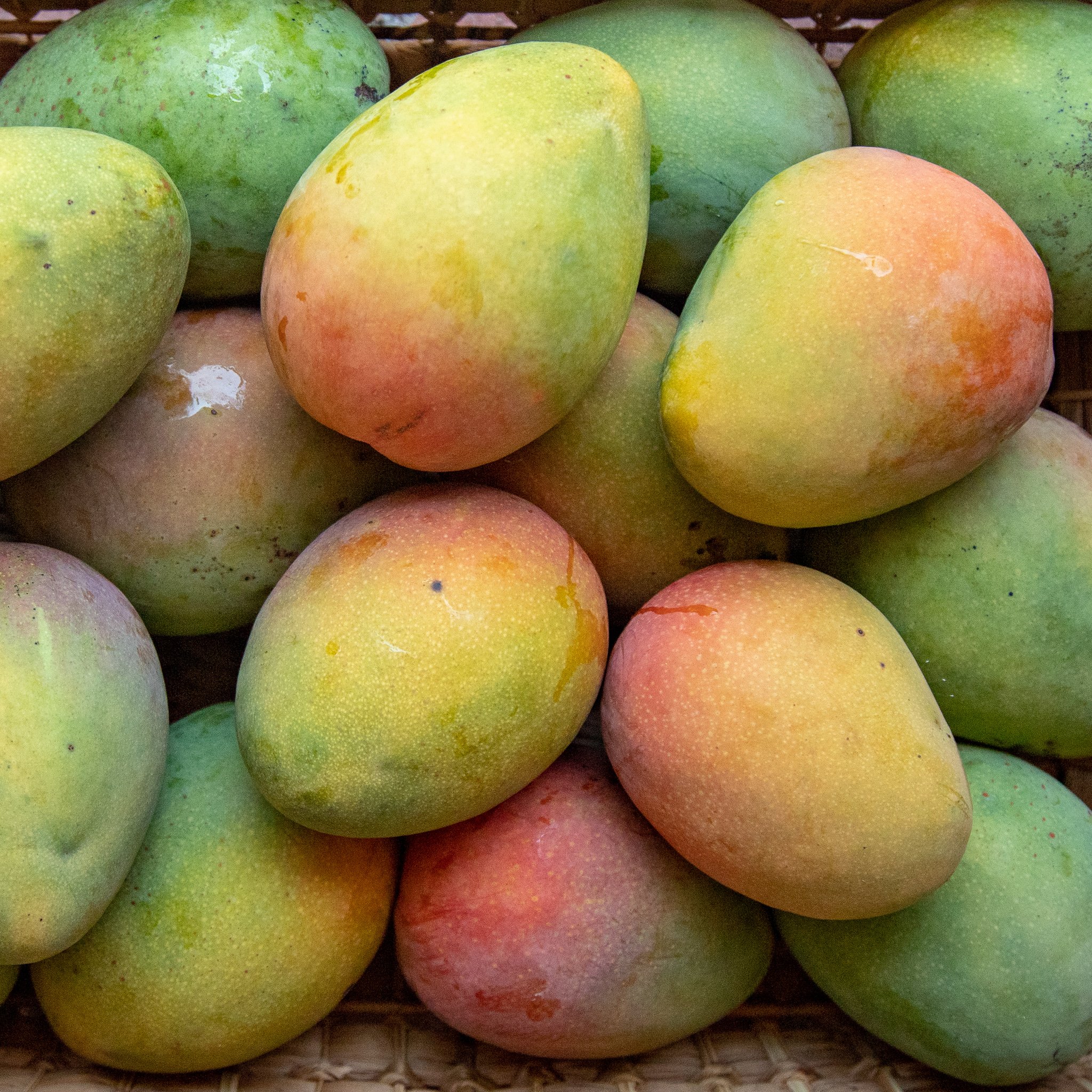 אדווארד - Edward