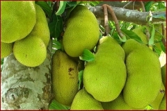 275821548 4948423288611292 1456515103357370626 n