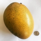 36626635 2080480238703668 7987732679057473536 n