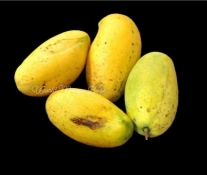 415286953 3297310857079866 996194218425680841 n