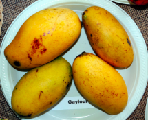 45a387f52755cb71d7906fe6cd9496b3