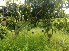 510658910 30473485795598254 7049708316715602757 n