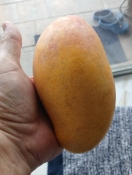 517658739 10161226713140969 7769960664939457374 n