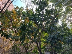 65131c59 59e1 4d02 868f 3a54637f542b