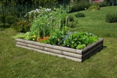 698 Vegetable bed