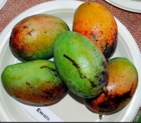 754d2e4e70407caff09311808a5927f3