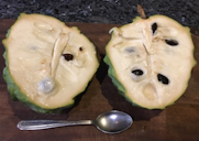 Annona41256
