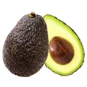 Avocado Oro Negro