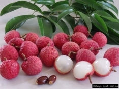 Lychee Wai Chee 4198