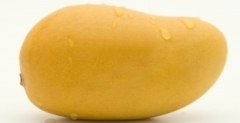Mabrouka Mango