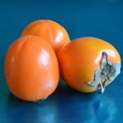 Persimmon Rojo Brilliante ES DSC 0030 cr sq 400x400 1