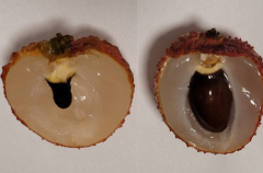 Screenshot 20220815 191313 1