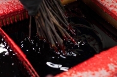 Wax and grafts dipping of grafted plants in actygref wax
