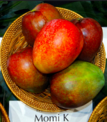 a154c522631890bbf70e5b92dc3ee584