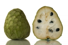 cherimoya booth dreamstime 3430884 bb4ea3759801cdae18531c8800892499  1 