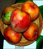 d3ecd01864f862d2225274c1d78dc61a