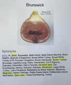 f187f511 136b 4c59 9c75 a1d51bf42710