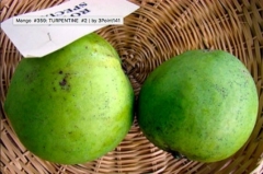 fa33c66234a09ddcd67fccf909f751f4