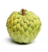 images  15 