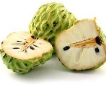 images  16 