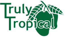 logo single color connected T