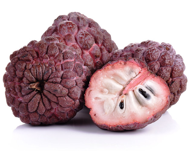 שוגאר אפל אדום - קאמפונג מאווי / Red Sugar apple - Kampong Mauve