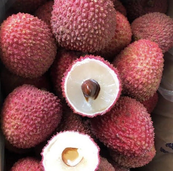 פיי זי סו - (Aust) Fay Zee Siu