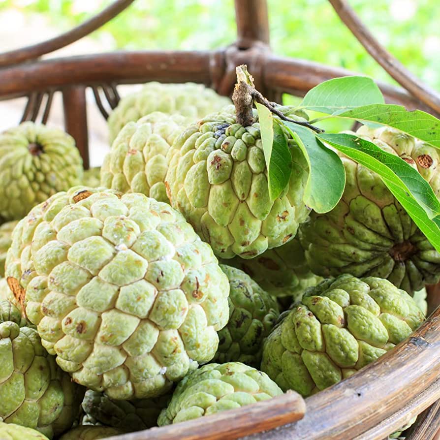 רד קסטארד אפל נה-דאי - Red Custard Apple Na Dai