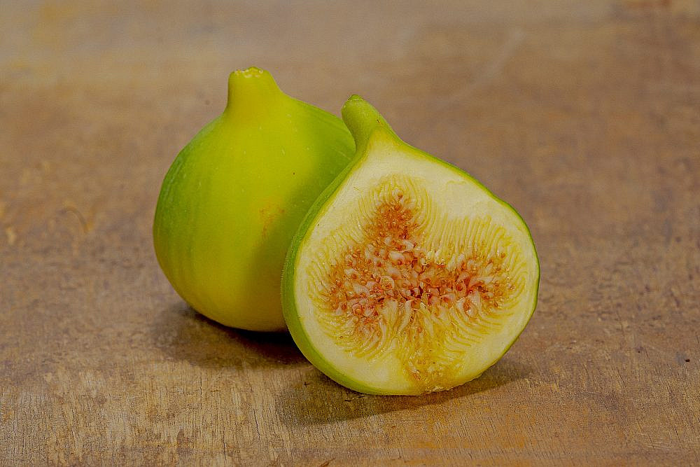 קדוטה / דוטטו / אוטטו - Kadota / Duttu / Ottu