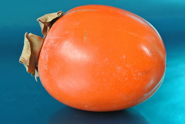 אפרסמון רוחו  ברילנטה (ספרד) - Rojo Brillante (Spain)