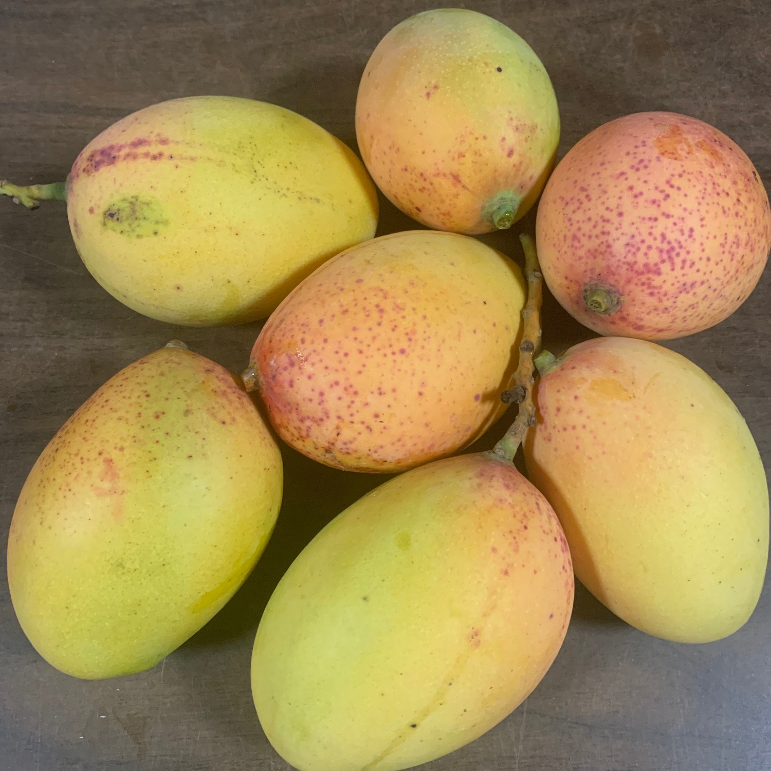 פיקרינג - Pickering