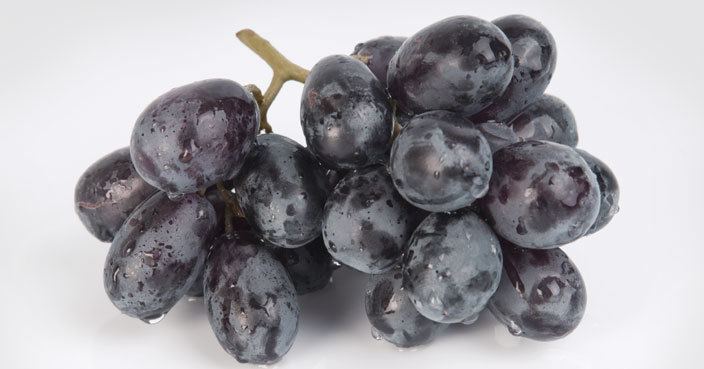 אוטום רויאל - Autum Royal