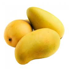 תפוח עץ  Apple tree